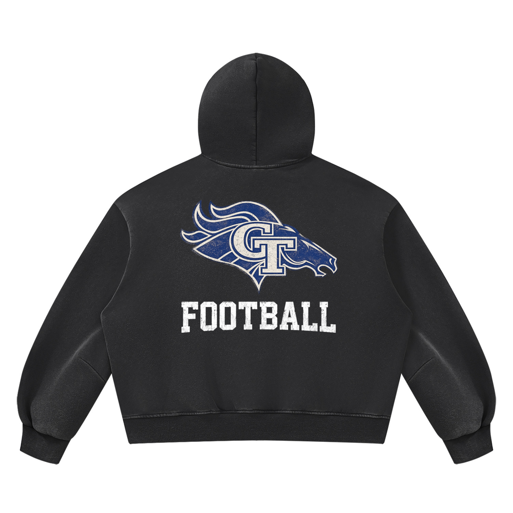 GT Stallions Vintage Hoodie