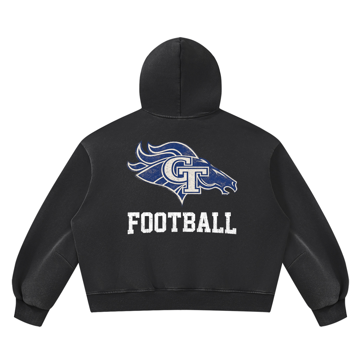 GT Stallions Vintage Hoodie
