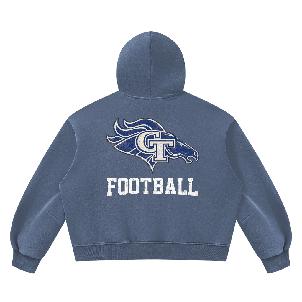 GT Stallions Vintage Hoodie