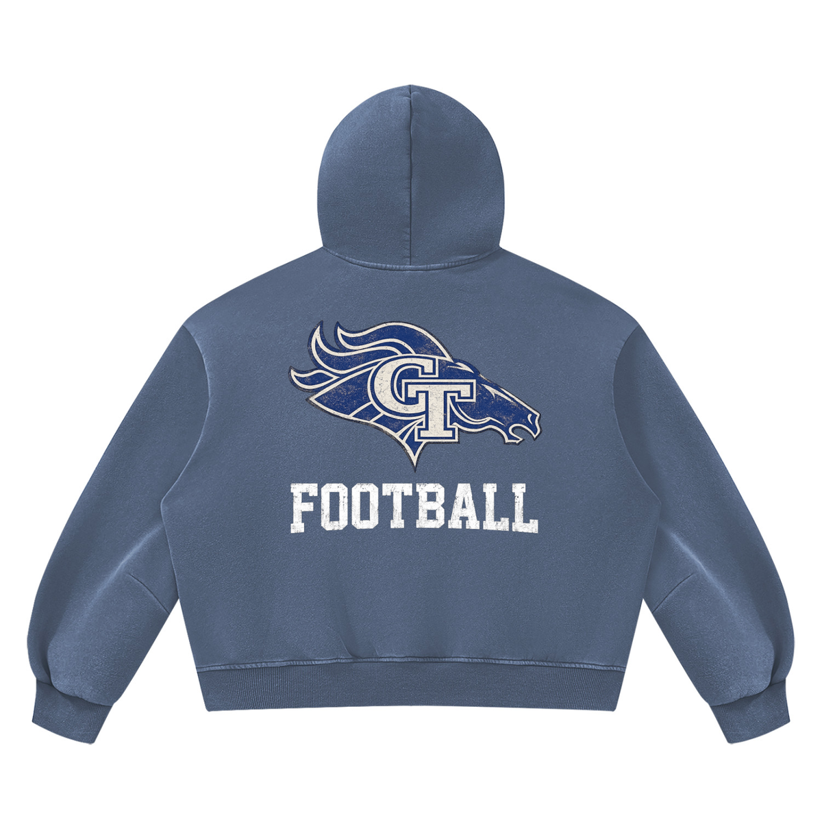 GT Stallions Vintage Hoodie