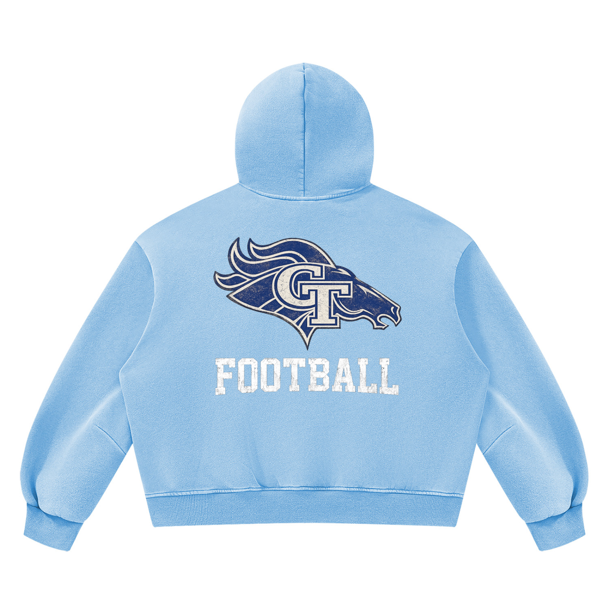 GT Stallions Vintage Hoodie