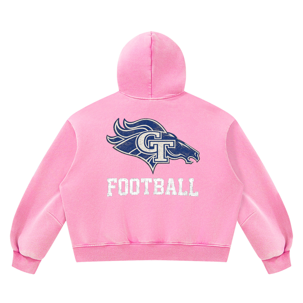 GT Stallions Vintage Hoodie