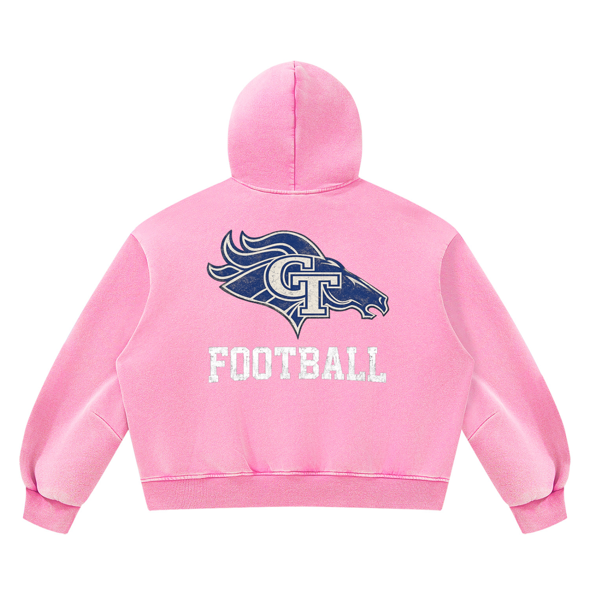 GT Stallions Vintage Hoodie